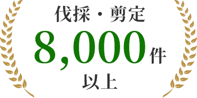 伐採・剪定8,000件以上