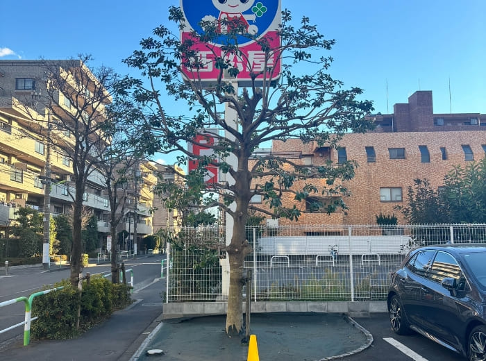 剪定のAFTER画像