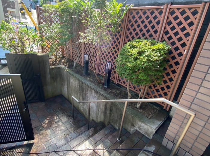 剪定のAFTER画像